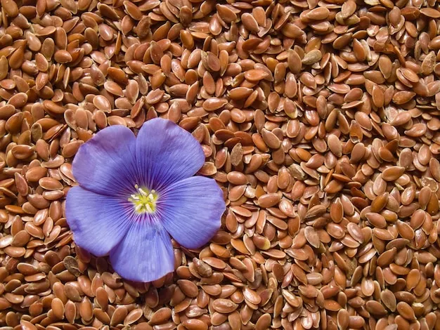 blue lin bloom linum usitatissimum l on a flat surface of linseed copyspace