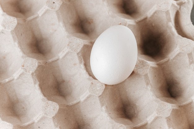 Cardboard container for eggs with one egg in a cell close-up.