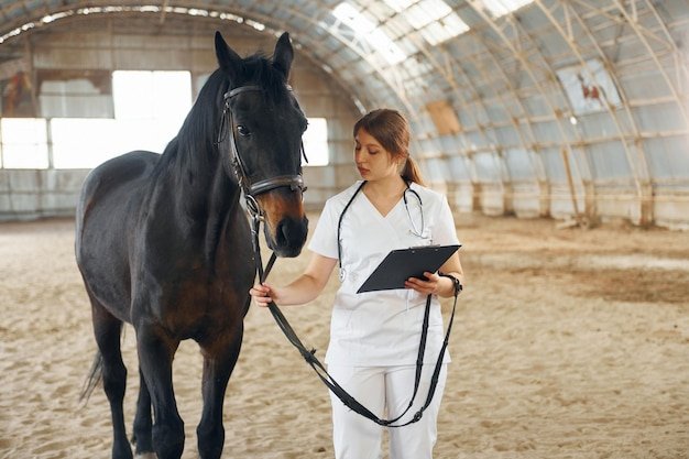 Front view Female doctor in white coat is with horse on a stable