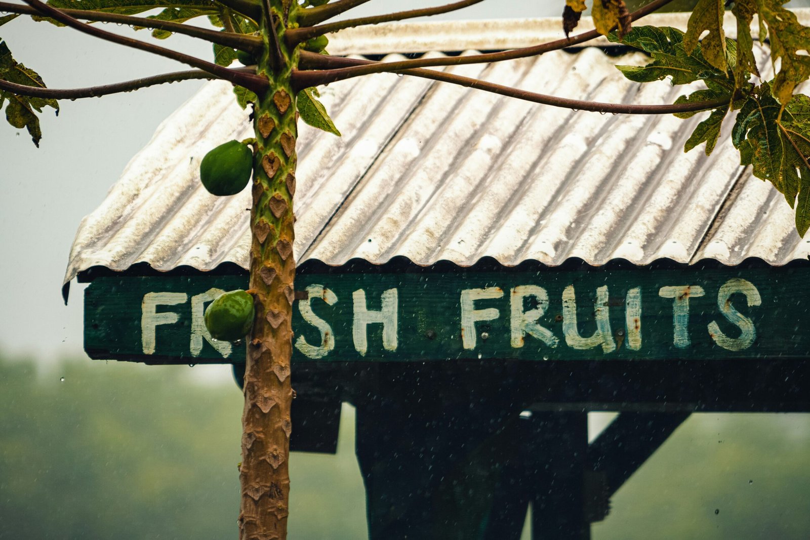 green leaves with green leaves