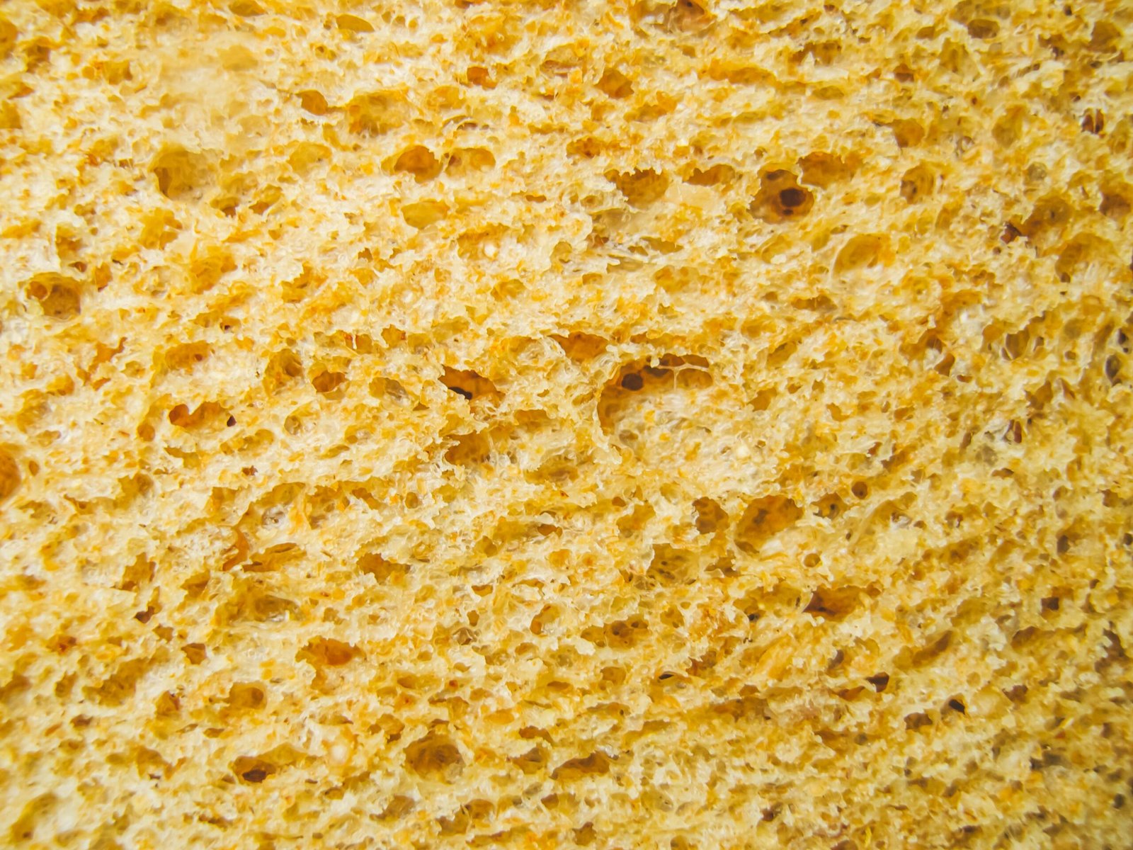 a close up of a piece of bread
