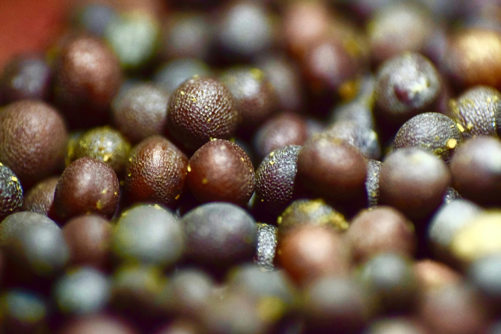 brown and black round fruits