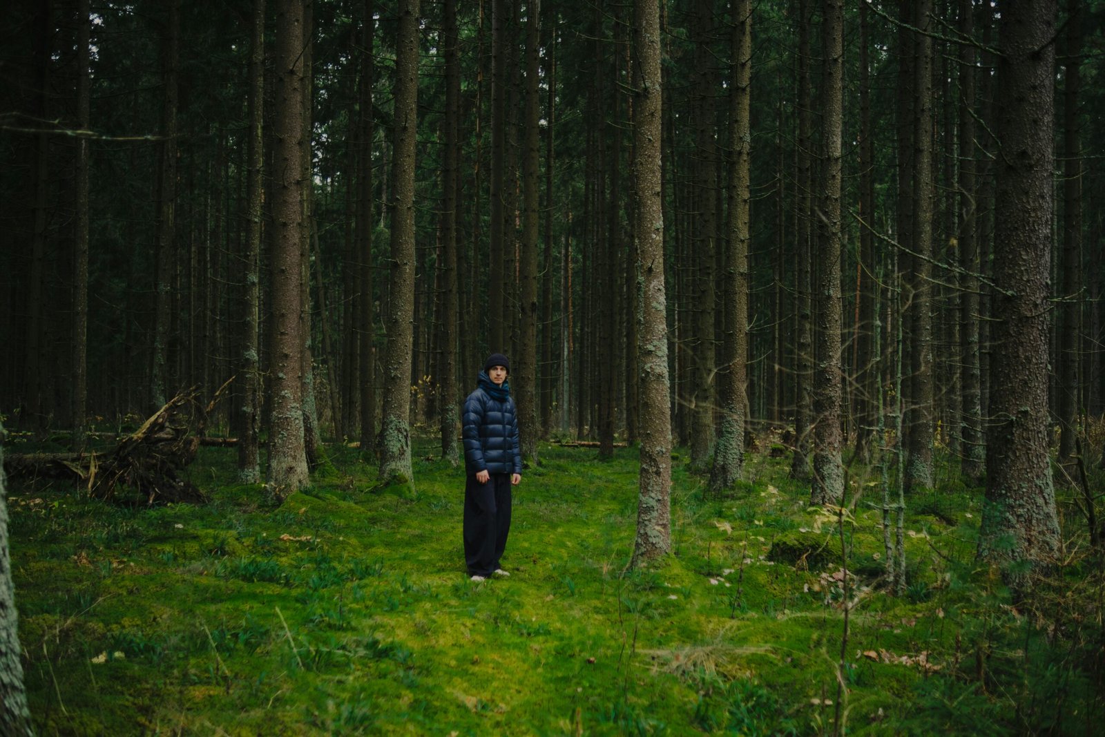 Person standing in a dark, dense forest.