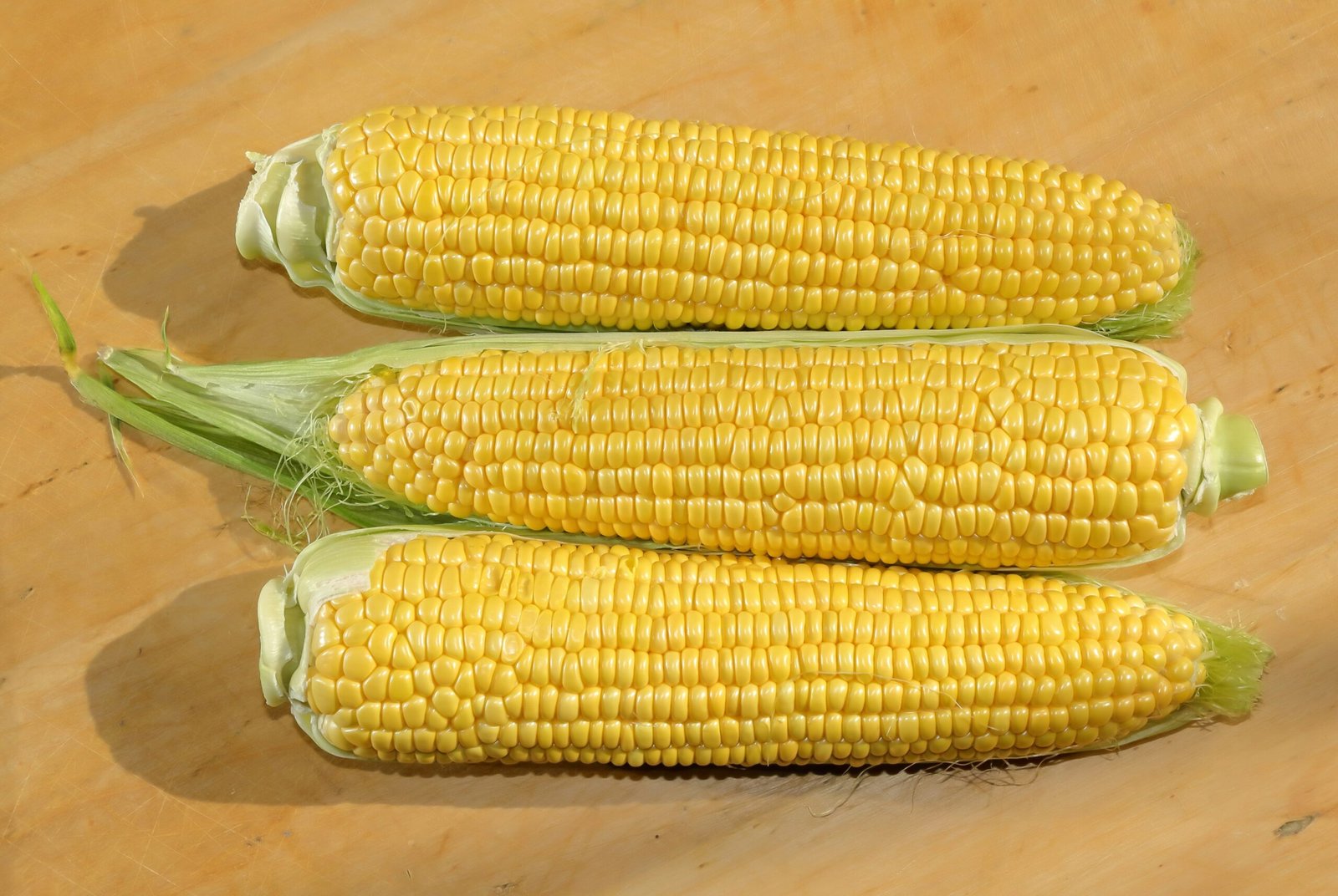 Three ears of fresh corn on a wooden surface