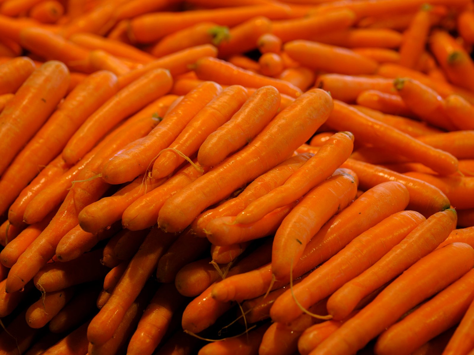 a pile of carrots sitting next to each other