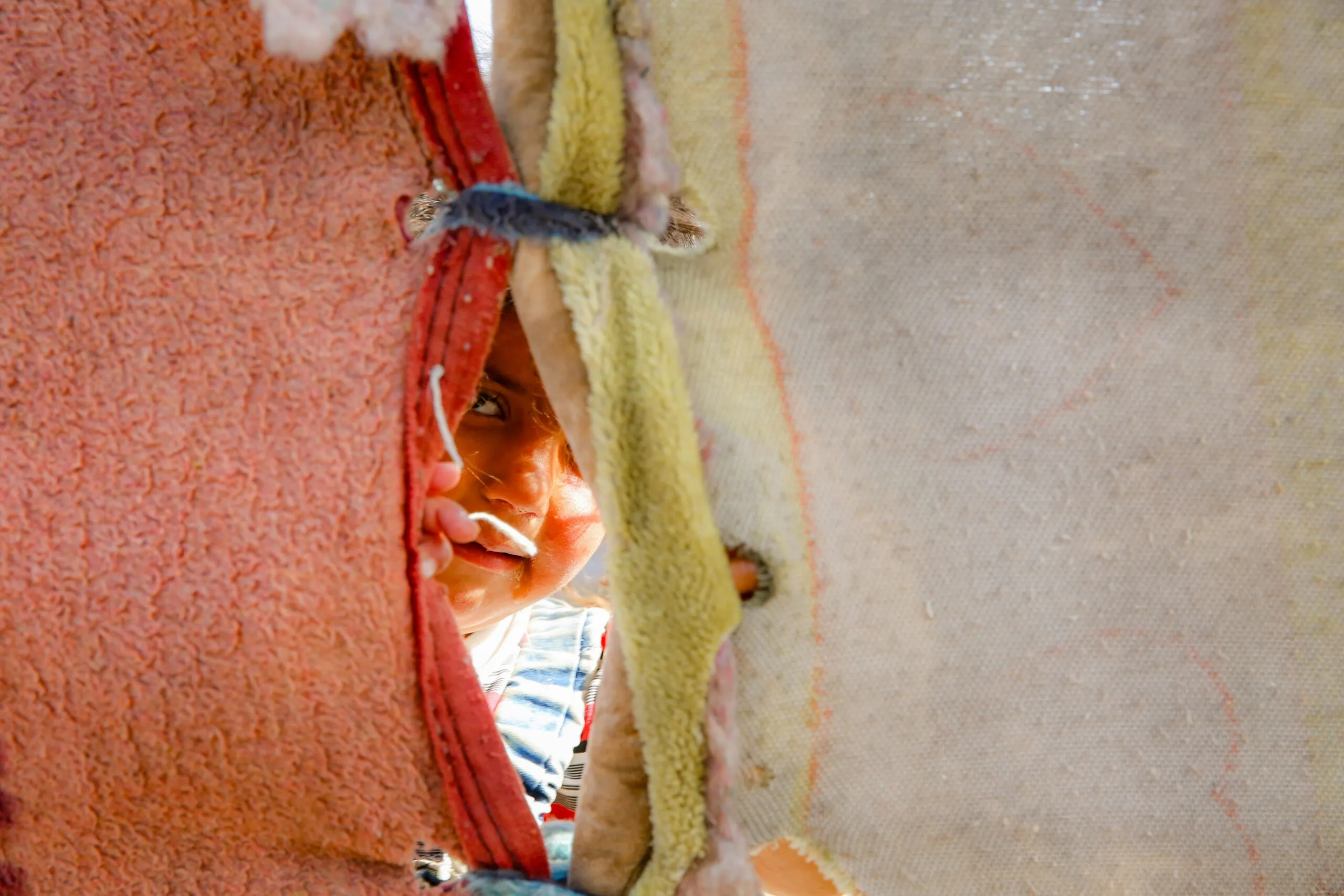 A close up of a sandwich with meat and cheese