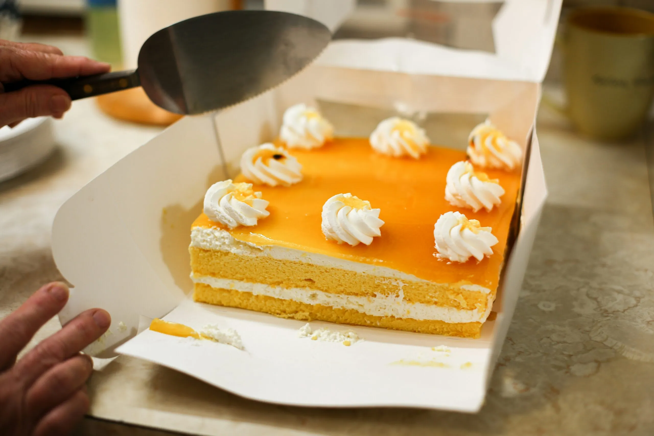 a person cutting a cake with a knife