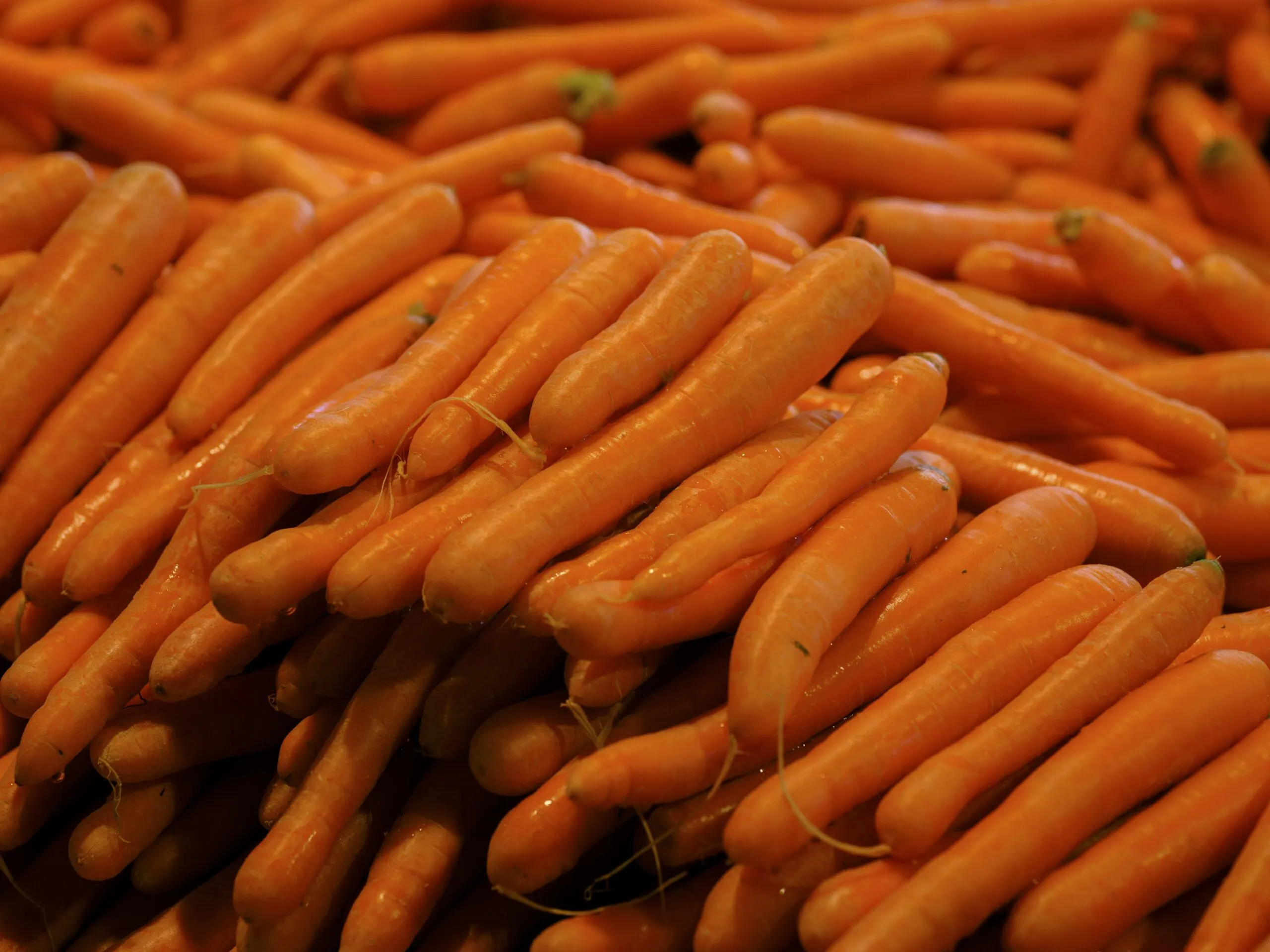 a pile of carrots sitting next to each other