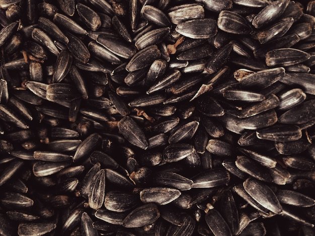 Sunflower seeds close up, a lot