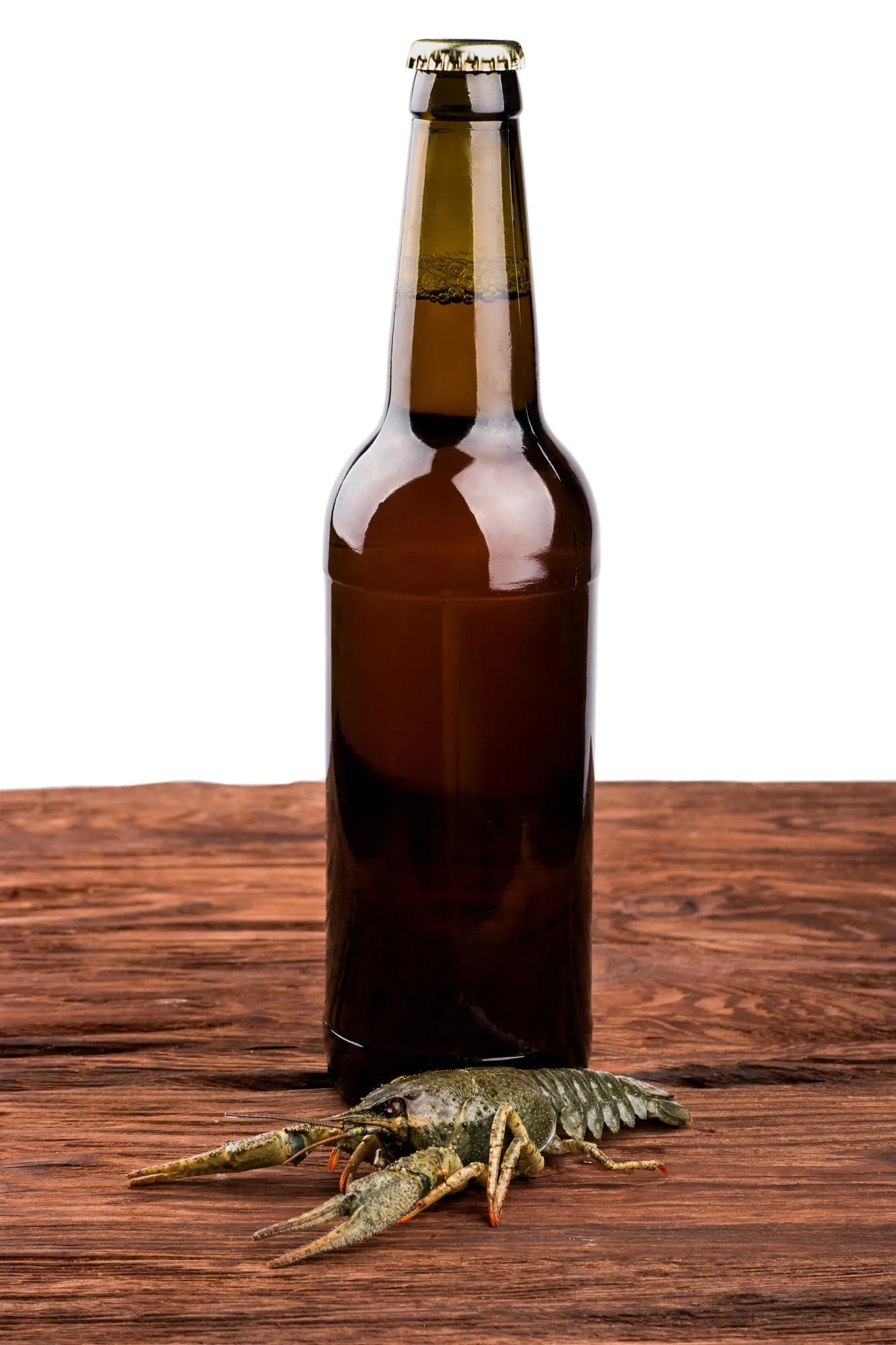 Beer with crayfish
