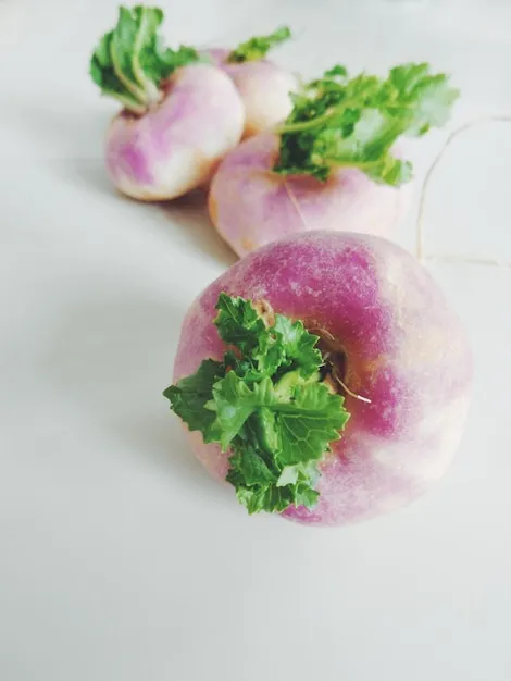 Close-up of food