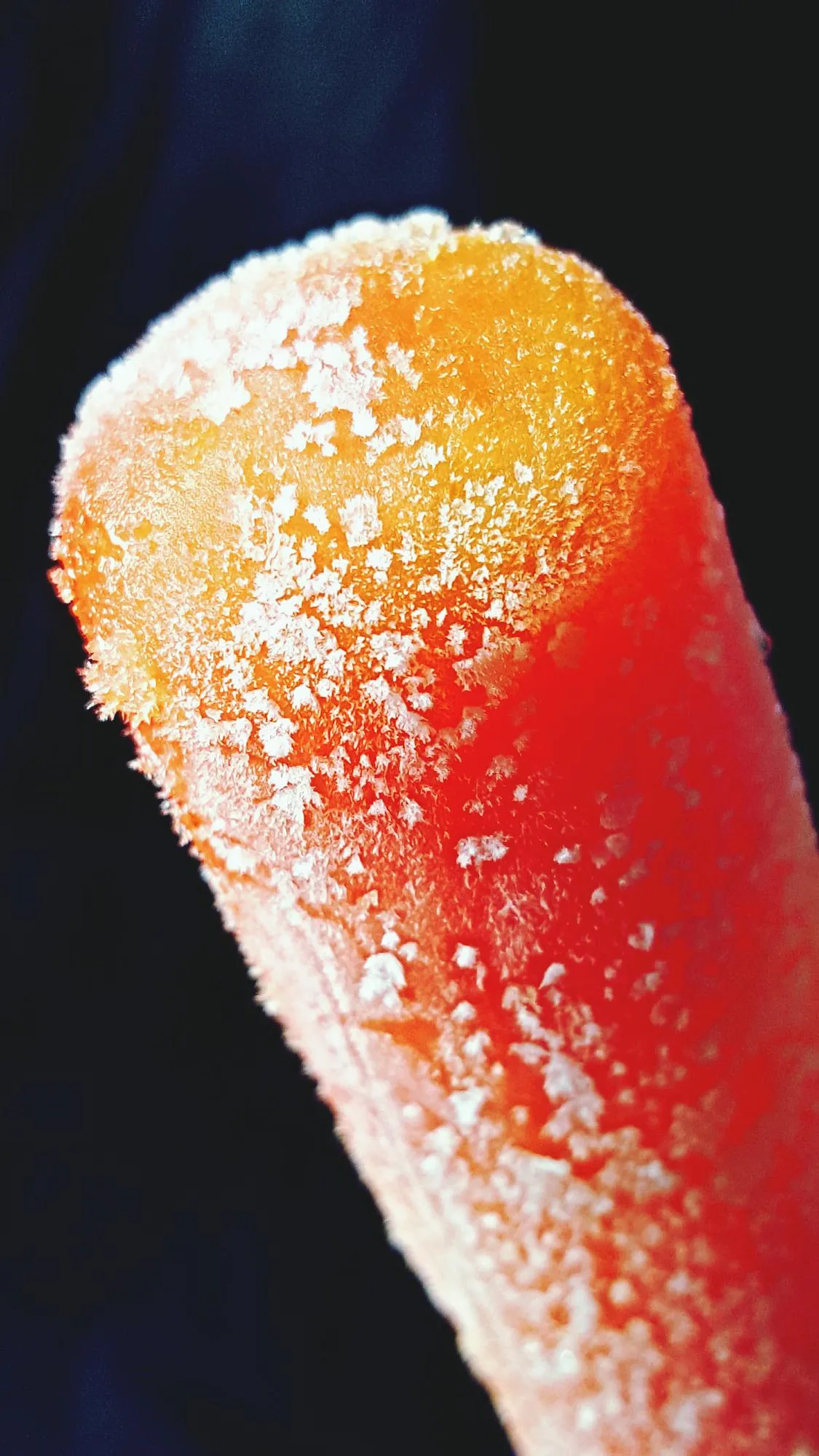 Close-up of food