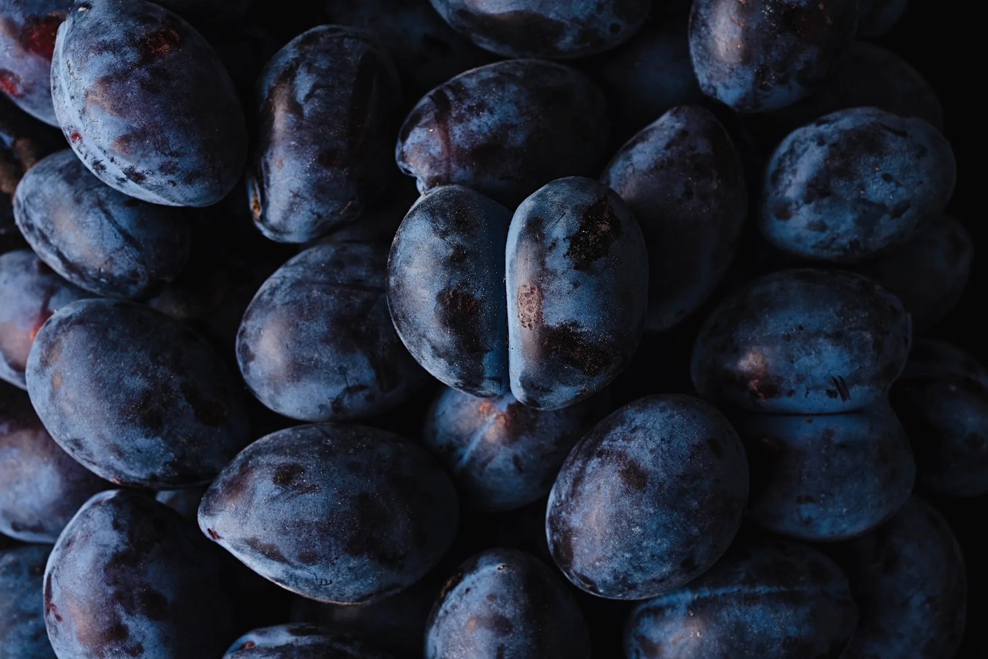 Close up of a fresh juicy plums