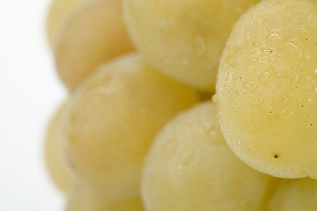 Closeup part of wet white grapes bunch  on light background