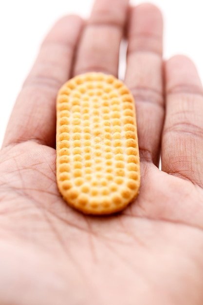 Cropped hand of person holding biscuit