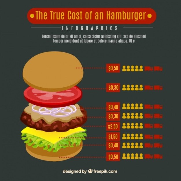 Delicious hamburger infographic
