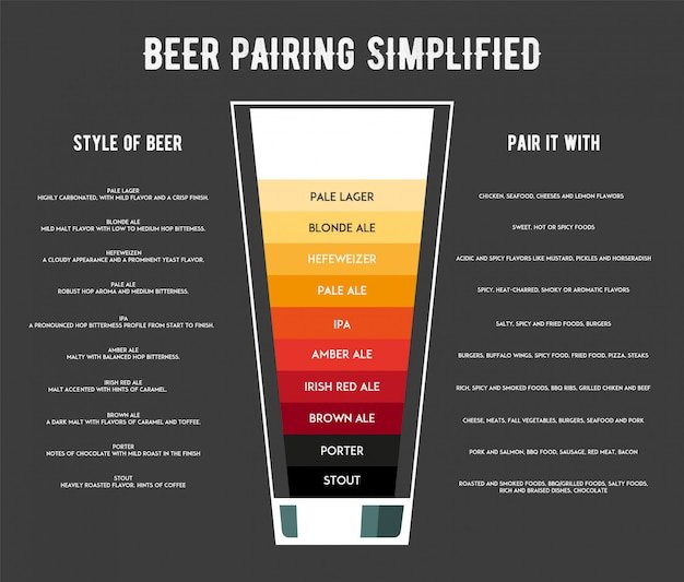 Different types of beer infographic