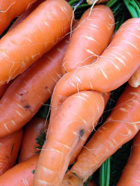 Directly above shot of carrots at market stall