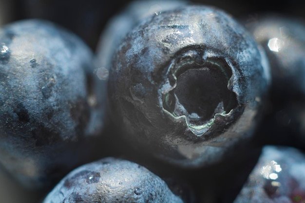 Full frame shot of blueberries