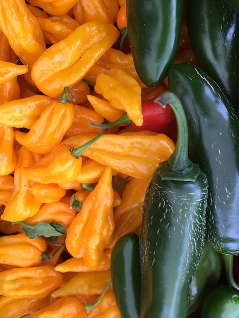 Full frame shot of food