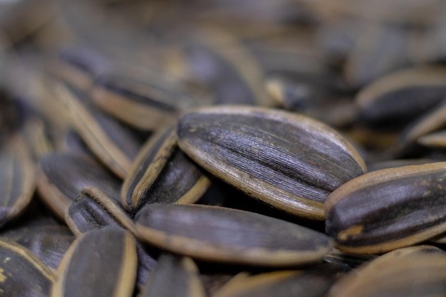 Full frame shot of spring onions
