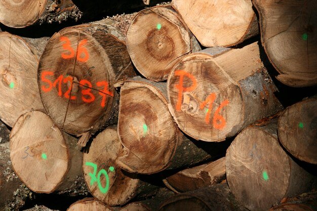 Full frame shot of wooden logs