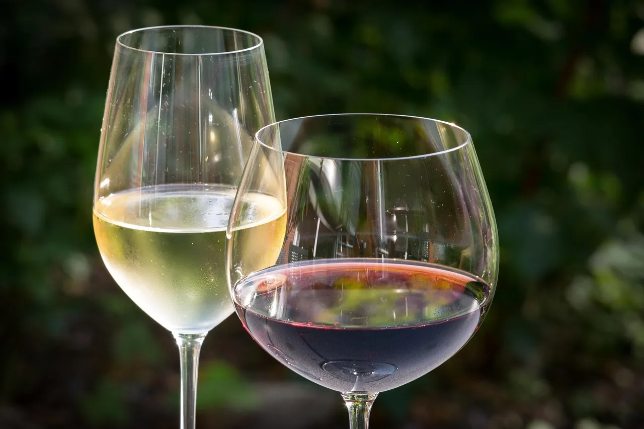 white wine, red wine, wine, glasses, wine glasses, reflection, beverages, enjoyment, red, white wine, white wine, red wine, red wine, red wine, wine, wine, wine, wine, wine, wine glasses, wine glasses