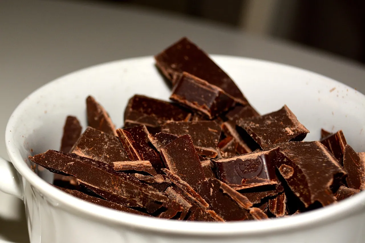 chocolate, chunks, dark chocolate, chocolate, chocolate, chocolate, chocolate, dark chocolate, dark chocolate, dark chocolate, dark chocolate, dark chocolate