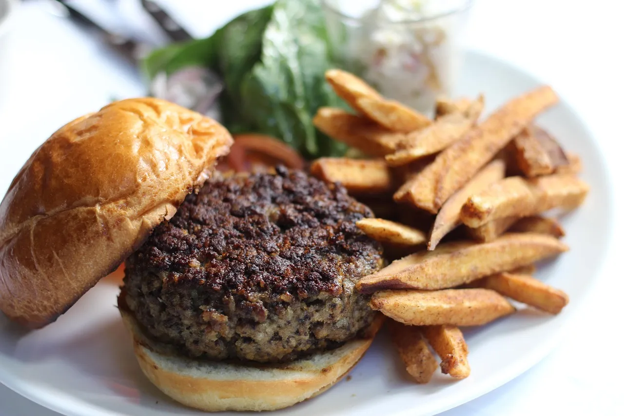 burger, hamburger set, hamburger fries, french fries, hamburger, burger, burger, burger, burger, burger, hamburger, hamburger, hamburger