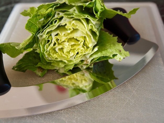 High angle view of chopped vegetables in plate on table