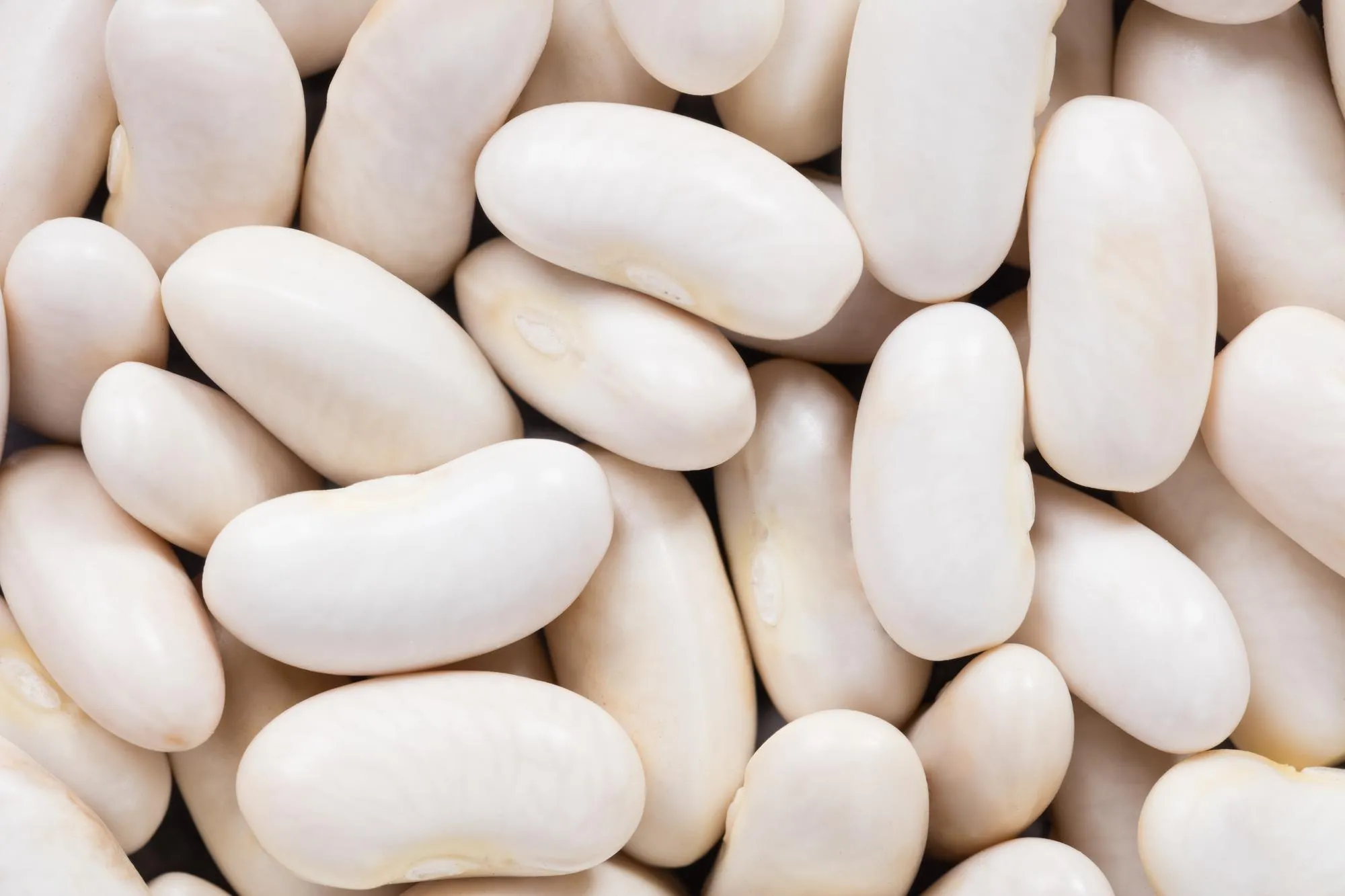 High quality seeds of Phaseolus legumes in a texture form for your personal green garden