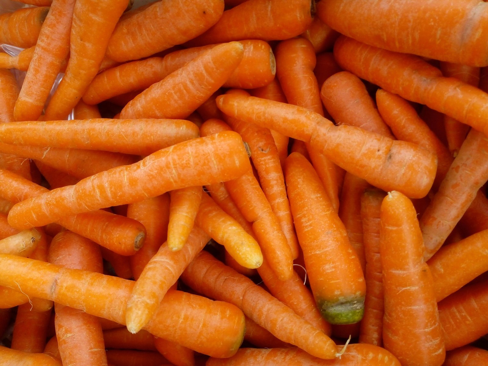 A pile of fresh, orange carrots.