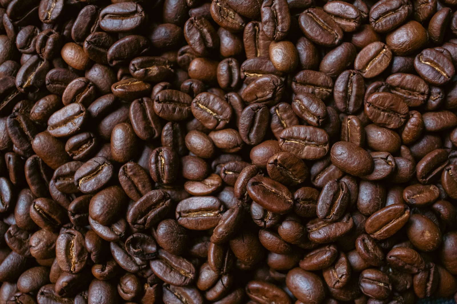 Roasted coffee beans fill the frame.