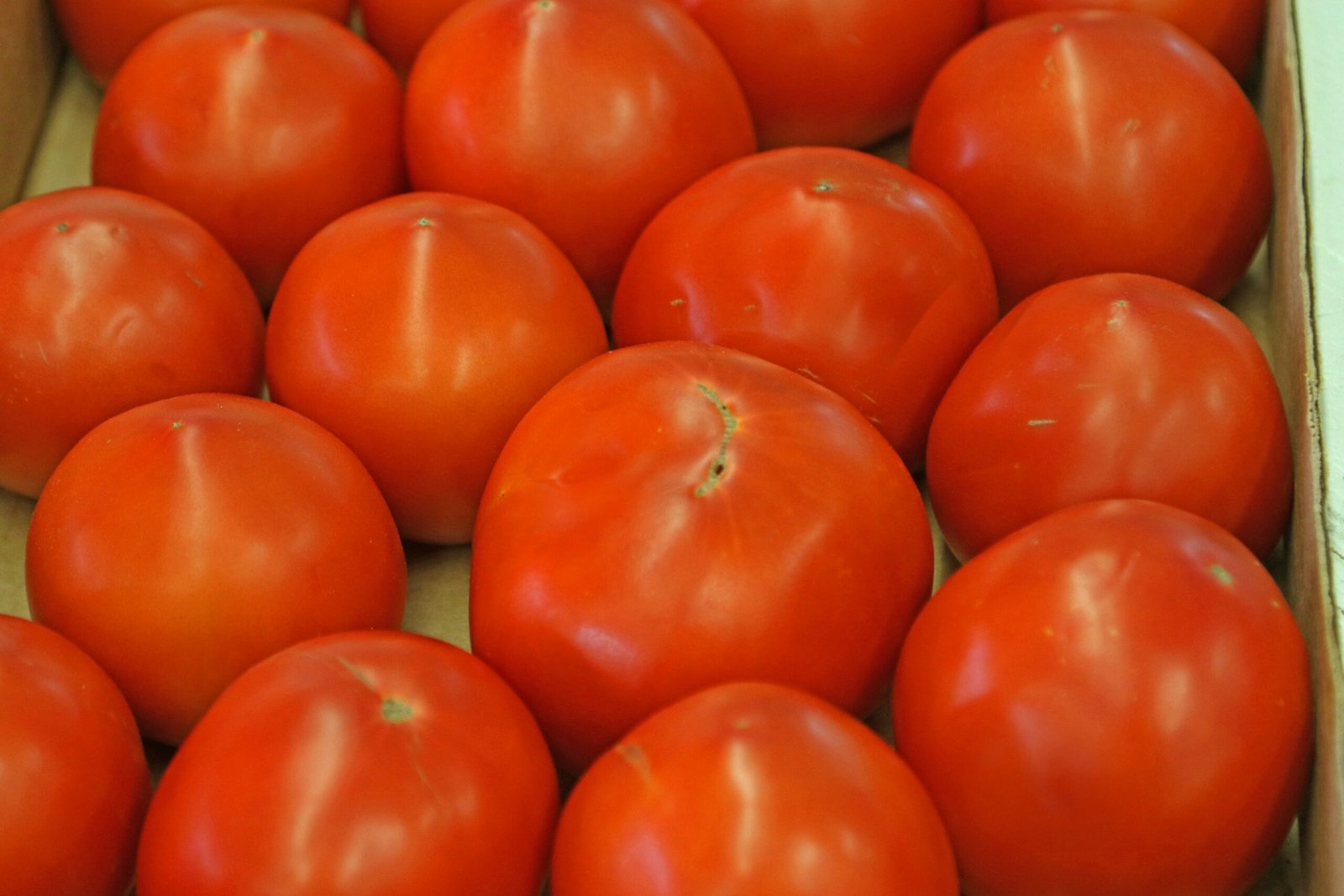 A close-up of ripe red tomatoes in a box