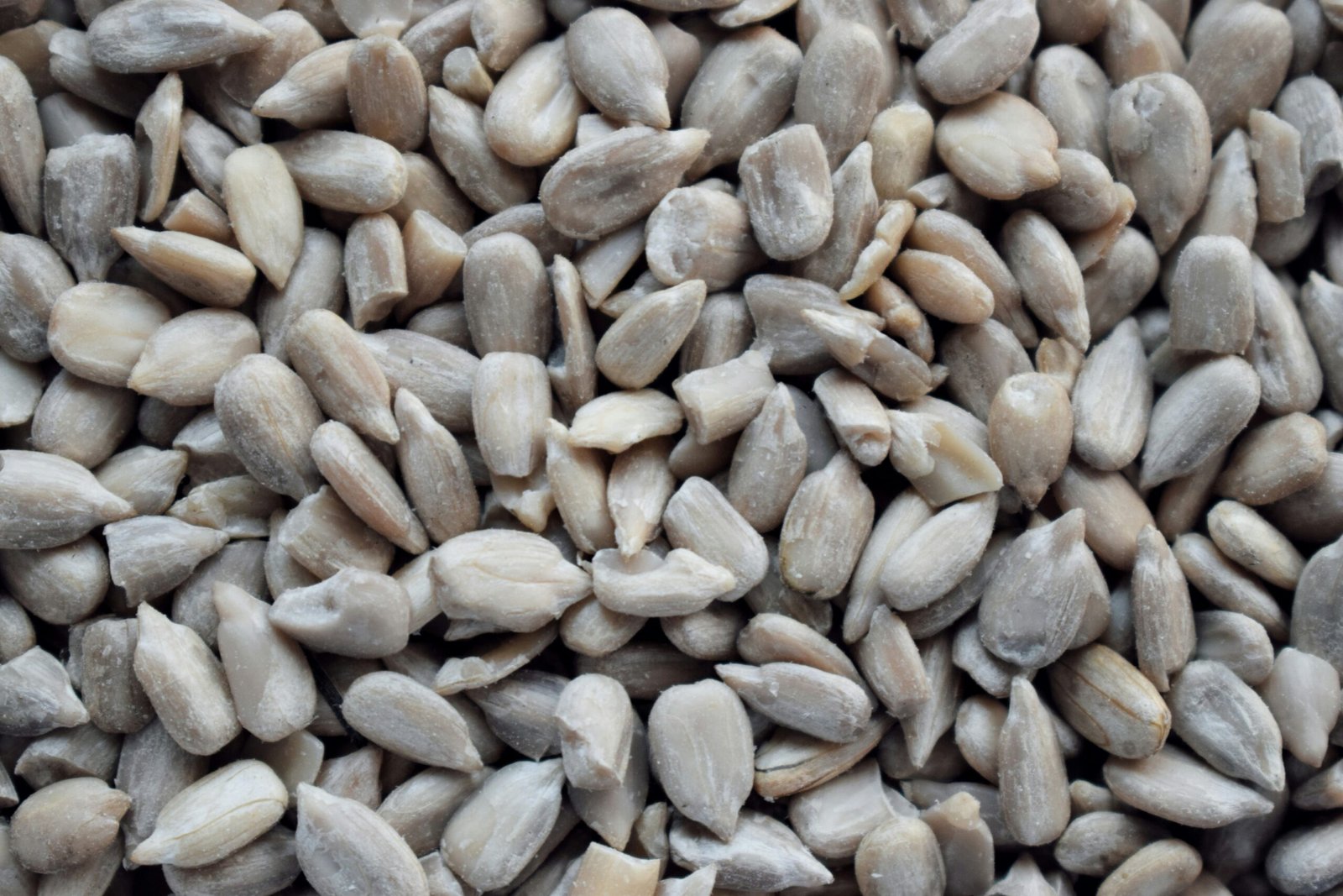A close up of a pile of seeds
