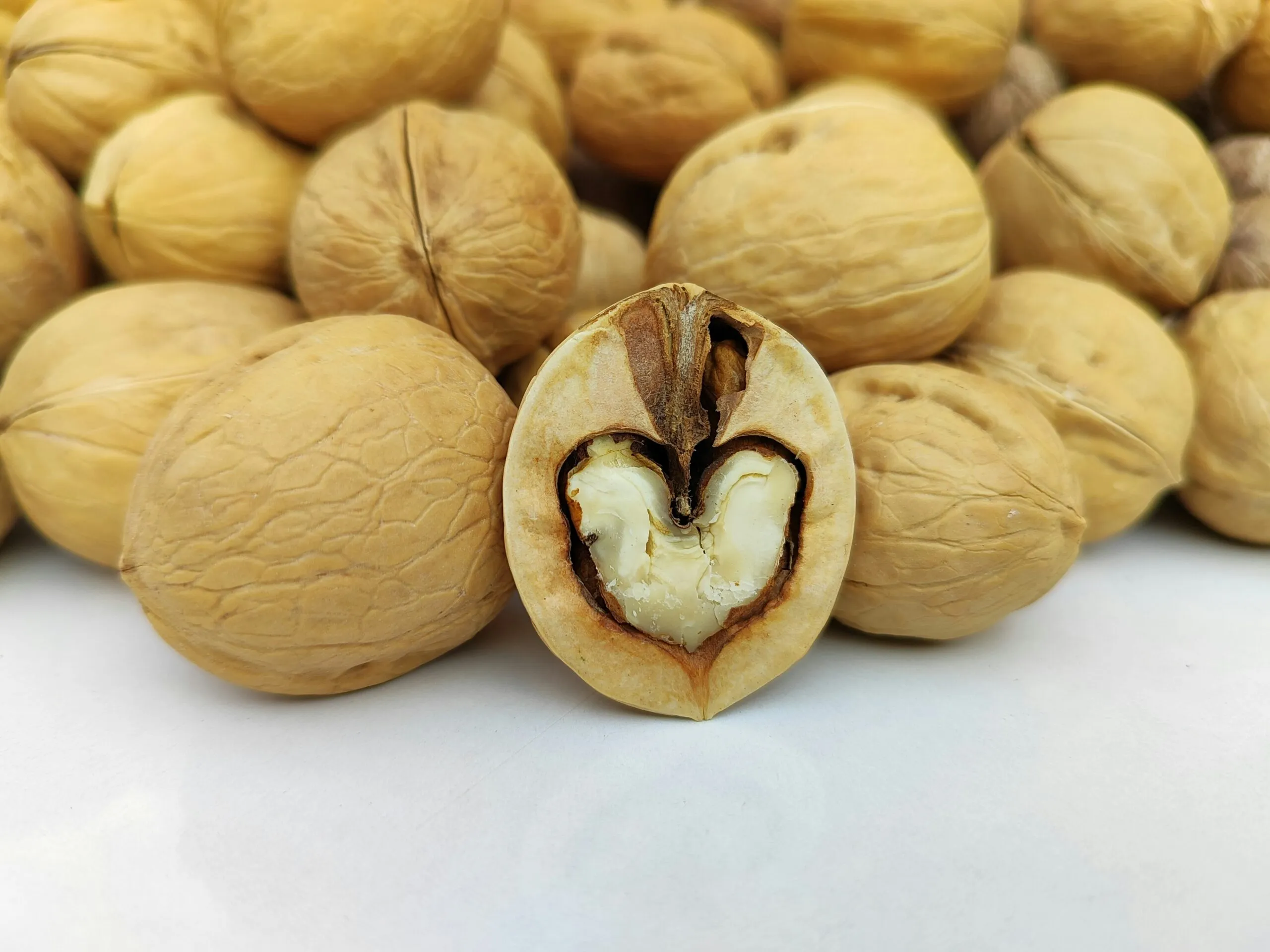 a nut shell with a heart cut out of it