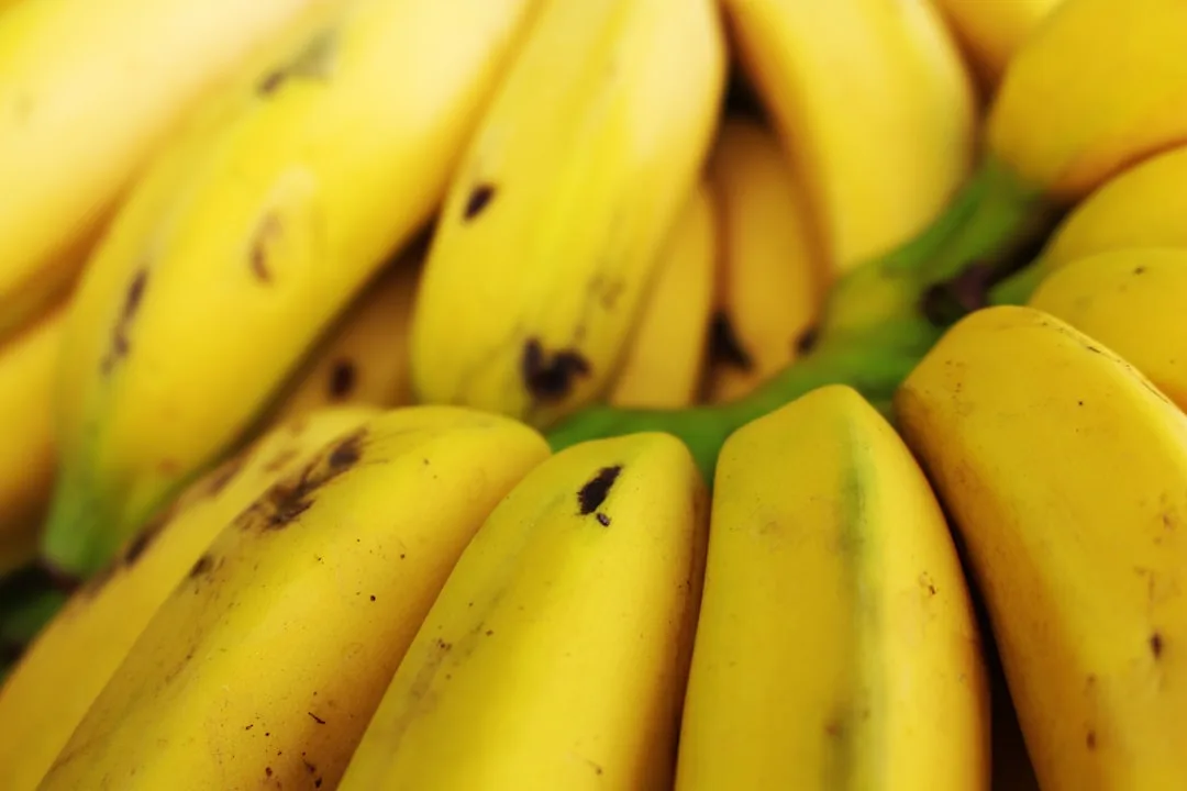 A bunch of ripe yellow bananas with brown spots.