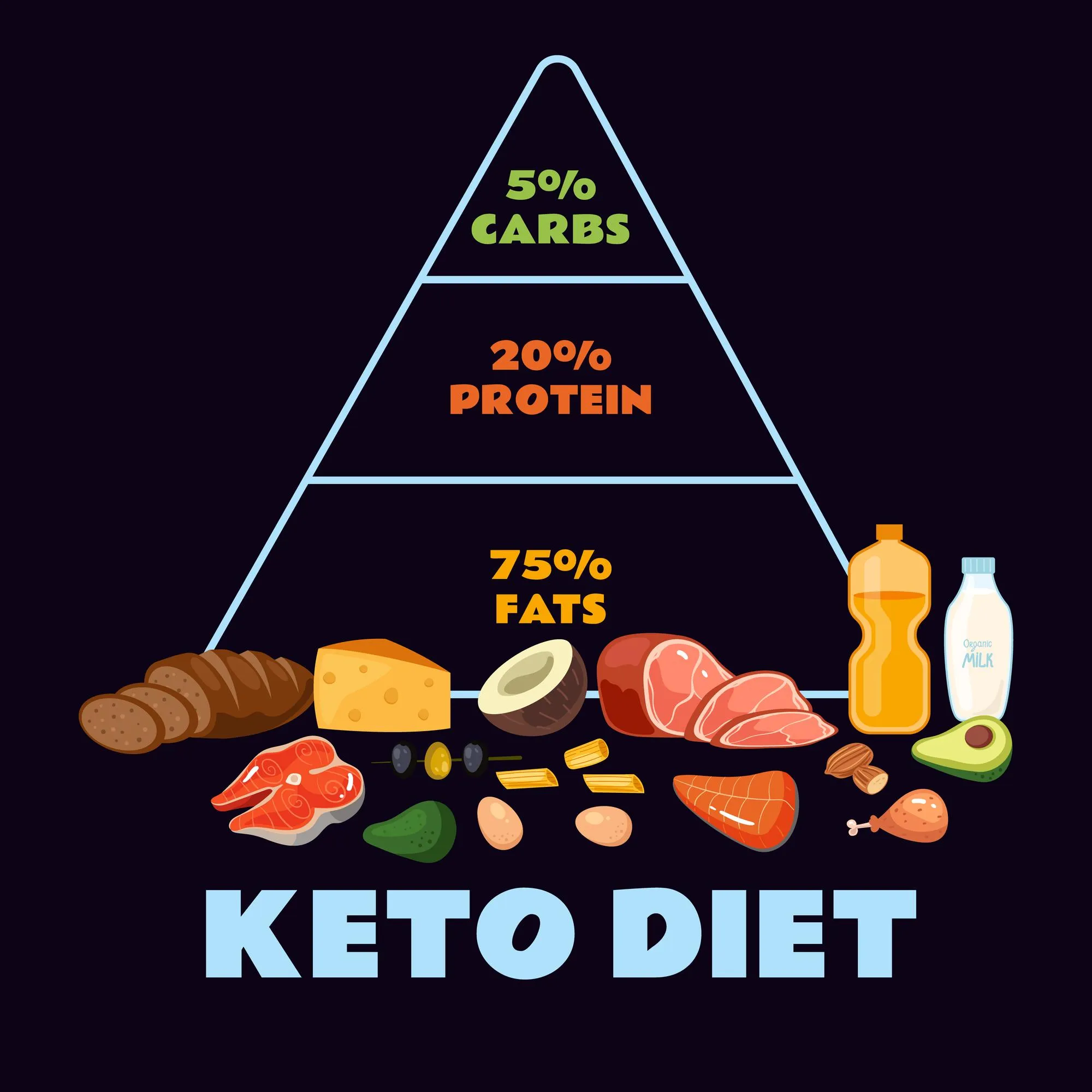 Keto diet ketogenic pyramid protein health concept Vector graphic design illustration