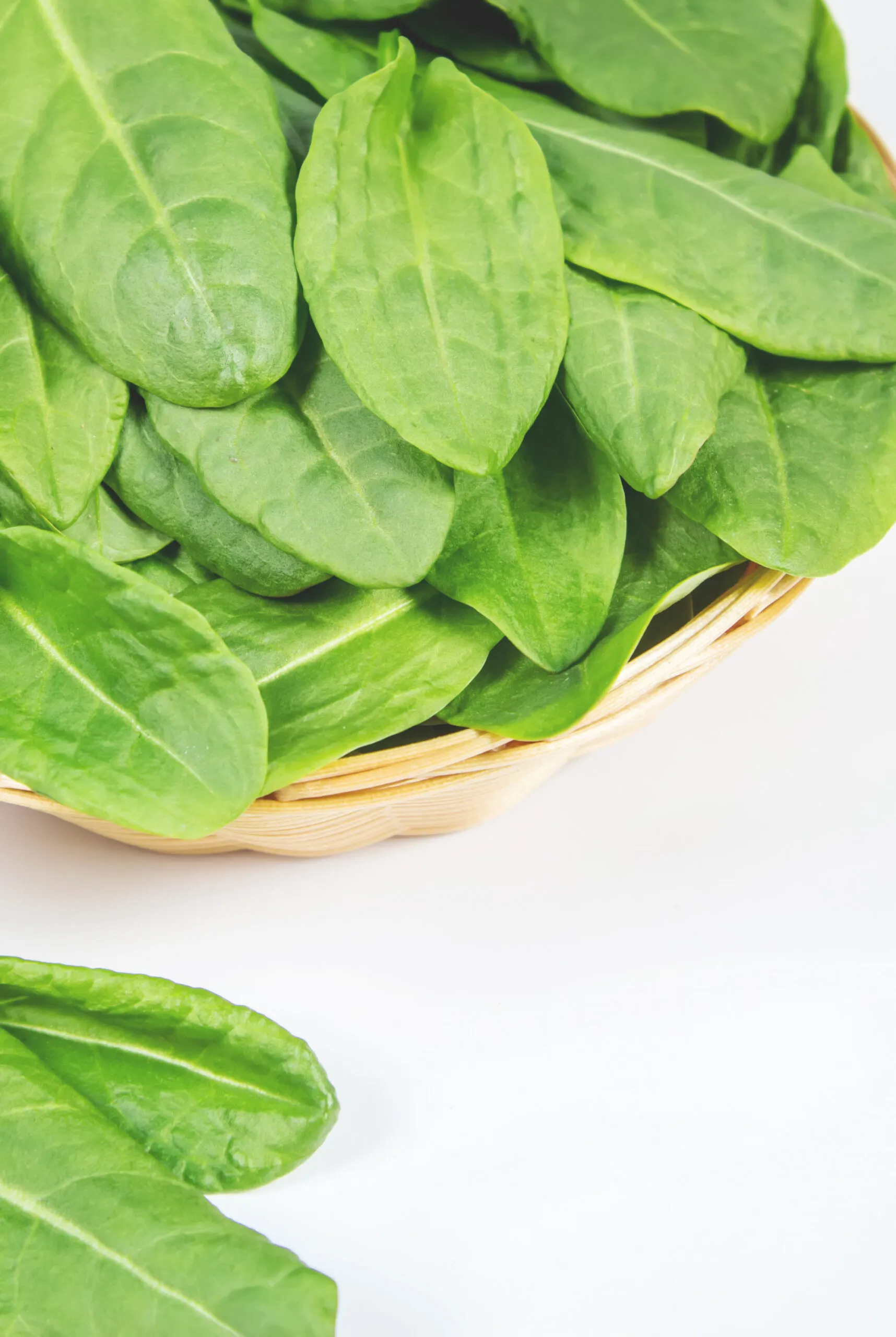 The leaves of greens, sorrel and spinach. Selective focus.