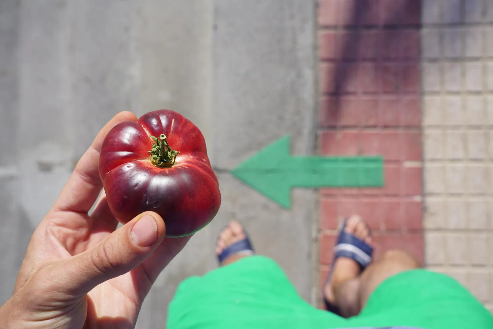 Midsection of man holding red fruit