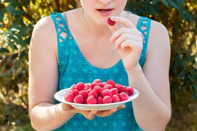 Plate full of fresh organic raspberries.