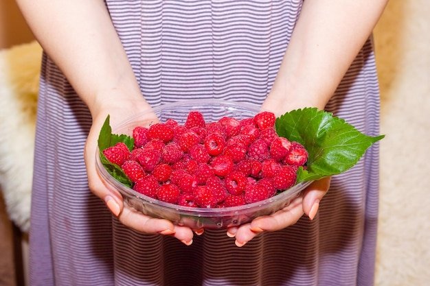 sweet berries in the hand closeup of hands
