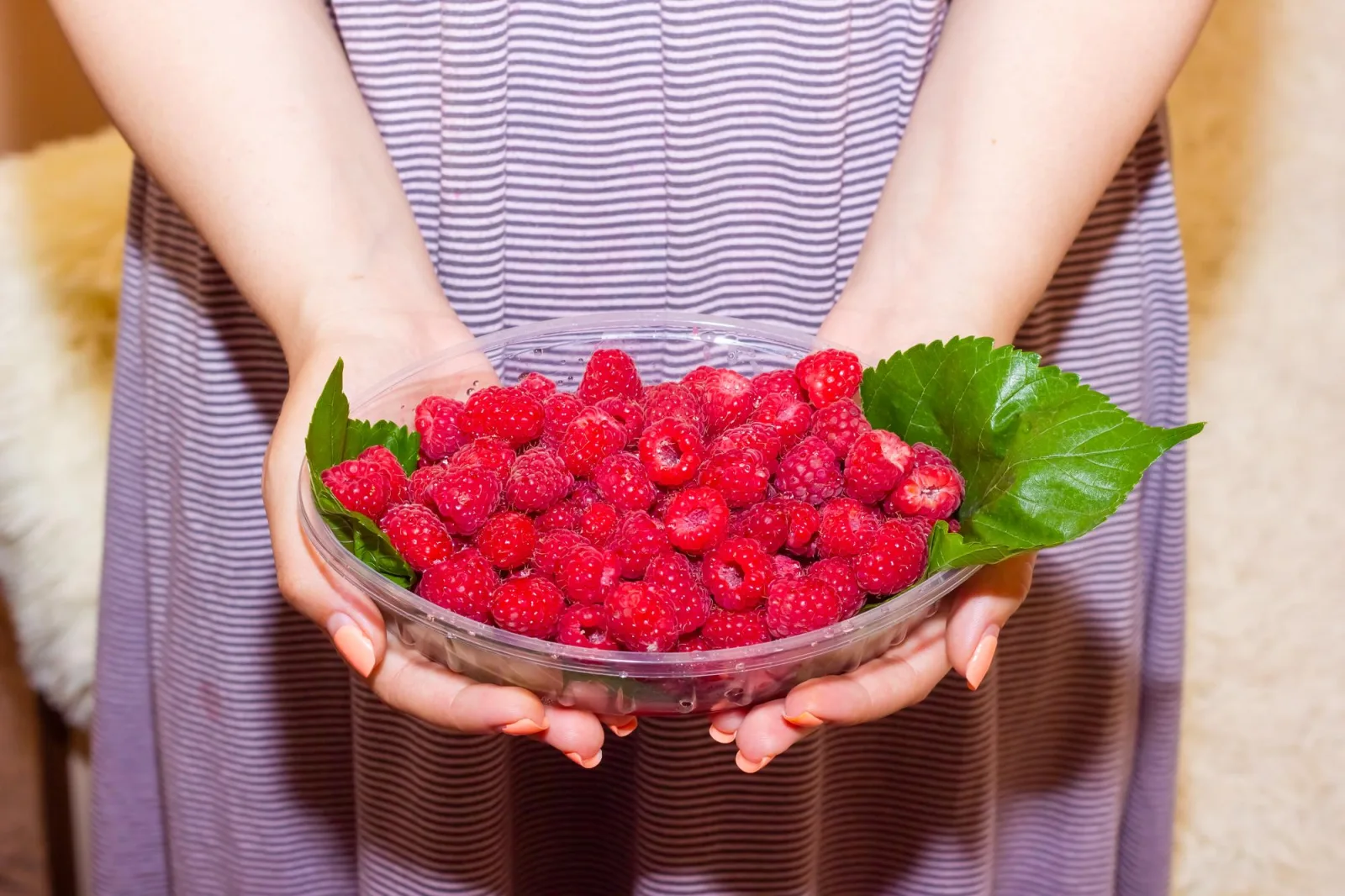sweet berries in the hand closeup of hands