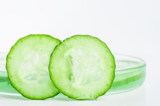 Thinly sliced slices of fresh green cucumber against a Petri dish