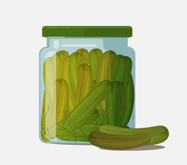 vector illustration pickled cucumber
