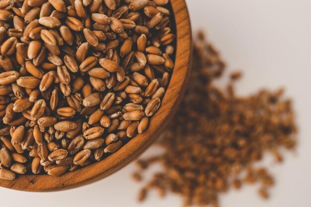 Wheat grains scattered on a white background