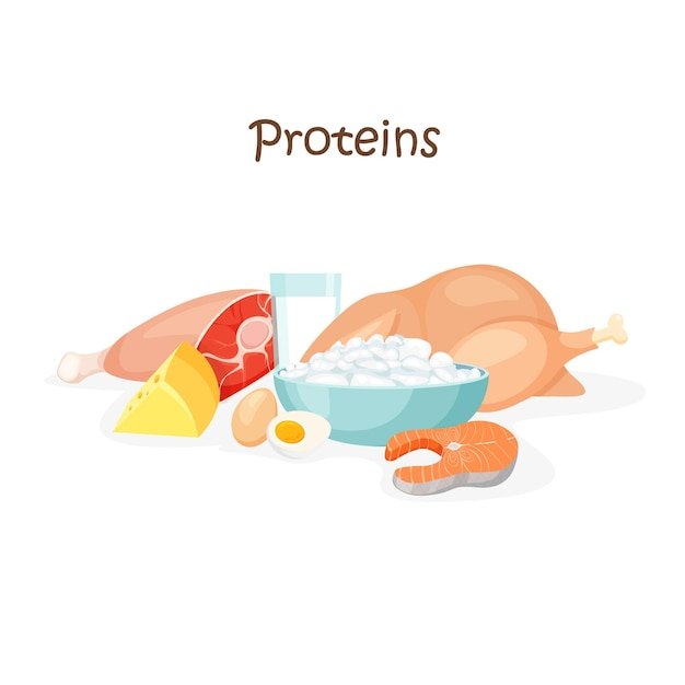 Food high in protein Beef chicken fish egg cheese and milk Healthy macronutrients Nutrition