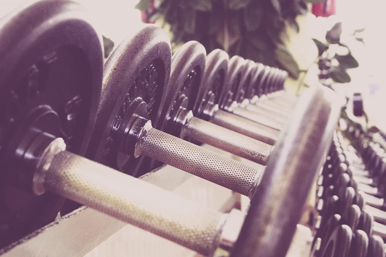 zdatność, hantle, szkolenie, siłownia, ciężary, podnoszenie ciężarów, trening siłowy, siłownia sprzęt, studio fitness, studio, waga, ćwiczenia, wiele, pociąg, pasować, siłownia, siłownia, siłownia, siłownia, siłownia
