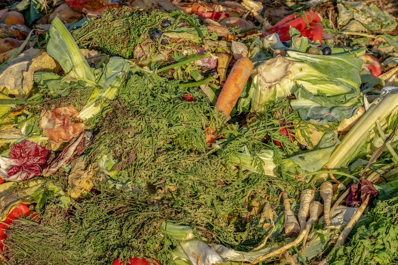 compost, garbage, biological, waste, fruit, vegetables, recycling, compost heap, fertilizer, ecology, compost, compost, compost, compost, compost