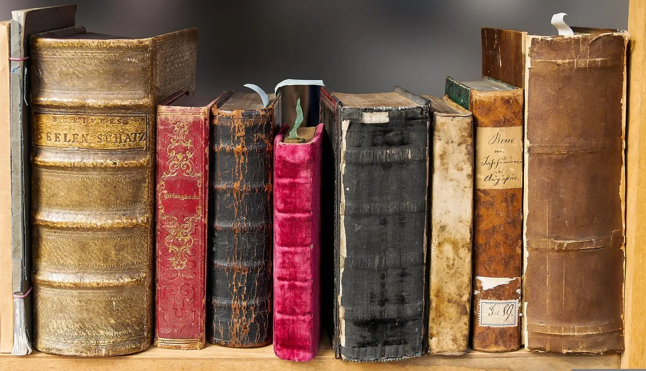 christmas background, book, read, old, literature, books, bookshelf, old books, hardcover, hardback, cover, collection, library, historically, leather covers, bookcase, used books, stories, reading, knowledge, bookworm